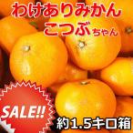【訳ありセール】わけありみかんこつぶちゃん【6箱まで同梱可能】