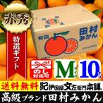 【予約販売】田村みかん 赤秀 M 10キロ 特選 贈答用ギフト選別品 Ｍサイズ １０kg [１箱＝約100果前後] 和歌山みかん 有田みかんの最高ブランド果実