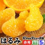 春みかんはるみ5kg秀品選別サイズ...