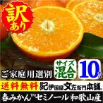 セミノールオレンジ （買得品10kg）紀州有田産　(規格外 不揃い)わけあり 訳あり柑橘(キズ)・ご家庭用 常温便  和歌山県・有田みかん