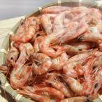 Yahoo! Yahoo!ショッピング(ヤフー ショッピング)（速攻発送）紀州湯浅の　浜ゆで芝エビ　500g　（3〜4人分です）（冷蔵便発送）　ビール、日本酒、焼酎のおつまみに　サイコゥ〜（高級食材 最高級）