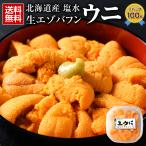 ウニ 塩水 無添加 【最大半額クーポン 北海道産.塩水生エゾバフンウニ100g.】うに 北海道 送料無料 セット 高級 詰め合わせ【FF8】