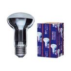  Toshiba re franc p Midget форма ( закрытый для )100V100W форма E26 застежка RF100V95WM