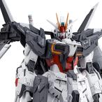 プラモデル） 1/100 MG ガンダムエクスインパルス 「ガンダム