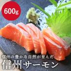 信州サーモン 海なし県で育った新鮮な養殖魚  刺身用 600g お取寄せ ギフト 贈答用 お歳暮 御歳暮 お年賀 お年賀 送料込（沖縄・離島別途240円）