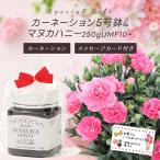 5/10母の日 3/31迄早期割引10% カーネーション5号鉢＆マヌカハニー 250g UMF10＋ 送料無料(本州限定)　メッセージカード付 ご注文受付期間は5月7日12:00迄