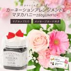 【5/10母の日ギフト 】 カーネーションアレンジメント&マヌカハニー250g UMF10＋ 送料無料(本州限定)　メッセージカード付 ご注文受付期間は5月7日12:00迄