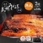武州うなぎ 国産 蒲焼 (特大)2尾 1尾あたり約170g(168g〜197g) お歳暮 うなぎ 川越 冷凍真空パック 国産うなぎ 埼玉育ち 母の日 父の日 うなぎの蒲焼き 丑の日
