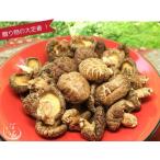 Yahoo! Yahoo!ショッピング(ヤフー ショッピング)大型どんこ100ｇ