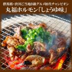 国産 豚ホルモン 焼肉 