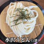 水沢うどん 水澤亭 半生うどん 5袋(10人前)つゆ付き 日本3大うどん 水澤うどん 群馬名物 ご当地グルメ ご当地うどん 伊香保温泉
