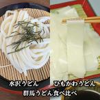 群馬2大うどん食べ比べ 水沢うどん ひもかわうどん つゆ付き 1000円ポッキリ 水澤亭 中里商店 水澤うどん 幅広うどん 群馬名物 ご当地うどん 伊香保温泉 桐生