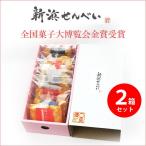 新浜せんべいセレクトボックス 2箱セット 揚げおかき 手焼き煎餅 詰め合わせ 手土産に好評 個包装