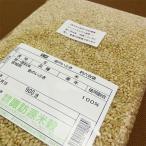 普通の炊飯器で炊ける玄米です。　新米 令和7年産 金のいぶき 玄米 お試し 900g 真空パック すわげんの省洗米 銘柄米 ブランド米 宮城県