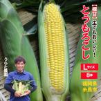 とうもろこし 甘い 恵味ゴールド 8本 うらた農園 生でも食べれる 朝採り トウモロコシ 福よかマーケット