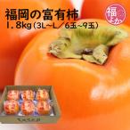 柿富有柿1.8kg池尻農園甘柿福岡...