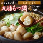  местного производства корова кишка моцунабэ Kyushu соя тест 2 порции ×2 комплект небо бог гормон наличие почтовый заказ ограничение удача .. рынок 
