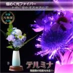  O-Bon украшение [ фотокаталитический * свет волокно :LED illumination . цветок terumina ваза имеется Mini .] бесплатная доставка 