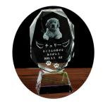  домашнее животное мемориальная табличка [ мир . один. специальный :3D crystal мемориальная табличка ( шерсть -) нет цвет прозрачный ] современный оригинал мемориальная табличка стекло выполненный под заказ бесплатная доставка 