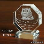  домашнее животное мемориальная табличка [ мир . один. специальный :3D crystal мемориальная табличка ( Lisa ). прямоугольник нет цвет прозрачный ] современный оригинал мемориальная табличка стекло выполненный под заказ бесплатная доставка 