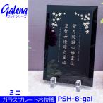 [ стекло plate мемориальная табличка ]ga Rena серии PSH-8-gal ( Mini ). название золотой * серебряный зеркало отделка crystal мемориальная табличка 