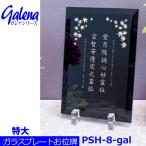 [ стекло plate мемориальная табличка ]ga Rena серии PSH-8-gal ( очень большой ). название золотой * серебряный зеркало отделка crystal мемориальная табличка 