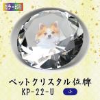 [ цвет печать ] crystal домашнее животное мемориальная табличка KP-22-U ( маленький )
