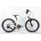 TREK [ Trek ] PRECALIBER 20 2020 год модели Kids мотоцикл / AKIBA магазин 