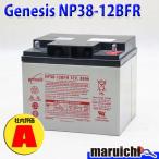 [ оценка A] воспроизведение аккумулятор NP38-12BFR Genesis l сменный :SC38-12,HC38-12 l фиксированная сумма б/у [ бесплатная доставка : Hokkaido, Okinawa, отдаленный остров доставка отдельно ]