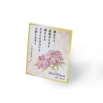 【ポイント５倍！】色紙を飾る 透明スタンド アクリル色紙 273×242mm 色紙額 色紙立て 額 額縁 フレーム