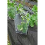 〔5セット入〕 かんたん苗カバーセット/植物保護キット 設置時:幅18cm 日本製 〔園芸 ガーデニング フラワー用品〕 227