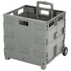  Takeda корпорация складной контейнер Carry ZY-36MGRE