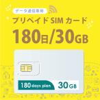 【送料無料】30GB/180日 プリペイドSIMカード データ通信専用 4G/LTE対応 短期利用 大容量 日本 国内用 docomo MVNO
