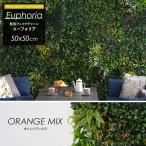 Euphoria ユーフォリア ウォールグリーン 壁掛け フェイクグリーン 50×50cm オレンジミックス CSZ 観葉植物 ジョイント式 壁用 グリーンウォール