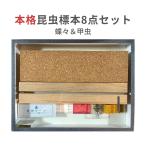 ショッピング自由研究 志賀昆虫普及社「本格昆虫標本8点セット 蝶々＆甲虫」」チョウ カブトムシ クワガタムシ 自由研究 昆虫採集 採取 シガコン プロ 学者 研究者 日本