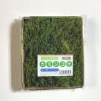 [go-go- распродажа ] утка jigoke120×140mm[6 шт. комплект ] сад структура . бонсай .. geo лама террариум kokelium интерьер зеленый Moss panel сделано в Японии 