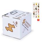 【ゴーゴーセール】観音温泉 飲む温泉 バックインボックス 20L【7ケース】【金運招き猫シール1枚付】温泉水 ミネラルウォーター 天然シリカ水 超軟水 備蓄