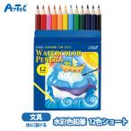  акварель цветные карандаши 12 цвет Short .... акварель цвет мужчина девочка развивающая игрушка канцелярские принадлежности канцелярские товары a- Tec 
