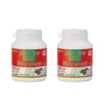 エンチーム ルンブレンSP Newゴールド 2個セット ミミズ乾燥粉末 LR末III アミノ酸 レスベラトロール ビタミン サプリメント 健康補助食品