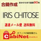 送料無料【合鍵】アイリスチトセ（チトセ・CHITOSE・IRIS CHITOSE） 更衣ロッカー鍵 E・H・J・K・S 印 合鍵作製 スペアキー 合鍵作成