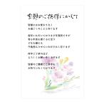 年賀状じまい はがき 年賀状やめたい 文章印刷済み 10枚 (清華デザイン 高齢)