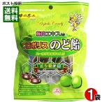 サンフローラ 梅肉エキス入りプロポリスのど飴 80g 蜂の恵み