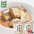 北海道産 さんまの生姜煮 骨まで食べれる 95g×2袋お試しセット 兼由