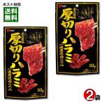 炭火焼風 厚切りハラミ 濃厚焼肉だれ味 33g×2袋お試しセット
