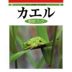  лягушка. иллюстрированная книга лягушка наблюдение книжка большой книга