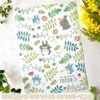  почтовая доставка OK Ghibli товары Tonari no Totoro прозрачный файл красочный leaf рисунок белый (2025) Studio Ghibli подарок ...totoro....... входить . входить ......