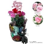 予約商品 魔女の宅急便 フラワーステンドグラス プランターカバー 母の日生花・アレンジセット2025 (2パターン・選択式) 合わせ買い不可
