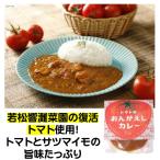 ショッピングフードロス カレー トマトのおんがえしカレー 180g 若松響灘菜園の復活トマト使用 恩返し トマト 北九州市 若松 響灘 復活トマト SDGs 地元のトマトのフードロス削減
