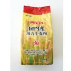  пшеничная мука внутренний производство незначительный сила пшеничная мука .900gnipn сделано в Японии мука незначительный сила пшеничная мука Kyushu производство. пшеница 