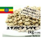 自家焙煎 コーヒー豆 ドリップ 一杯あたり39.8円 業務用にもおすすめ エチオピア シダモ 1kg(生豆時)